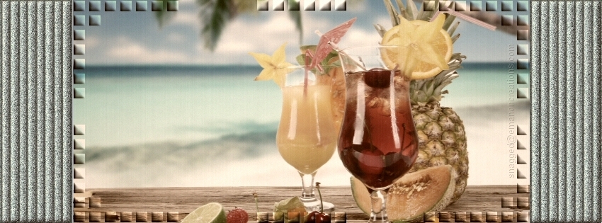 Alc. Drinks 013 Facebook Timeline Cover