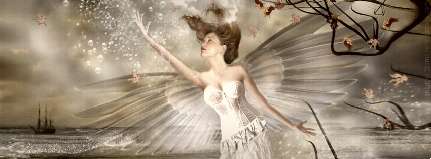 Angel 011 Facebook Timeline Cover