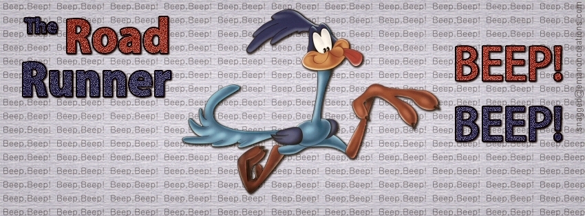 Road Runner 001 Facebook Timeline Cover