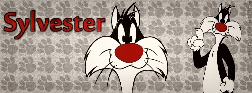 Sylvester 001 Facebook Timeline Cover