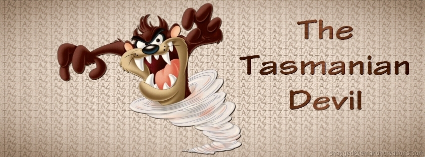 Tasmanian Devil 001 Facebook Timeline Cover