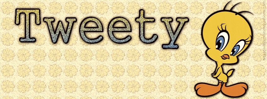 Tweety 001 Facebook Timeline Cover