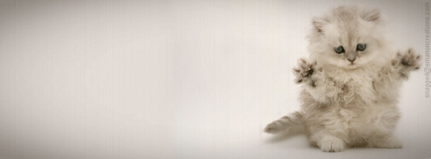 Cat 015 Facebook Timeline Cover