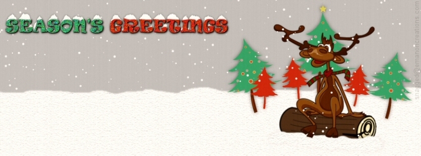 Christmas 017 Facebook Timeline Cover