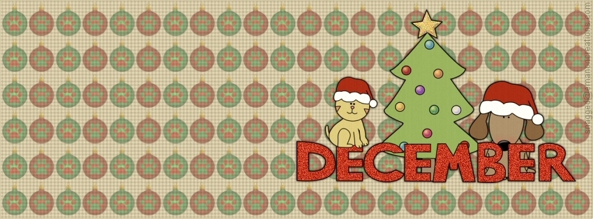 December 02 Facebook Timeline Cover