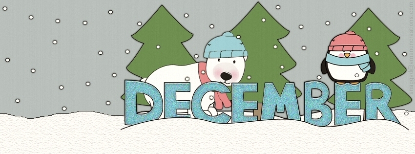 December 03 Facebook Timeline Cover