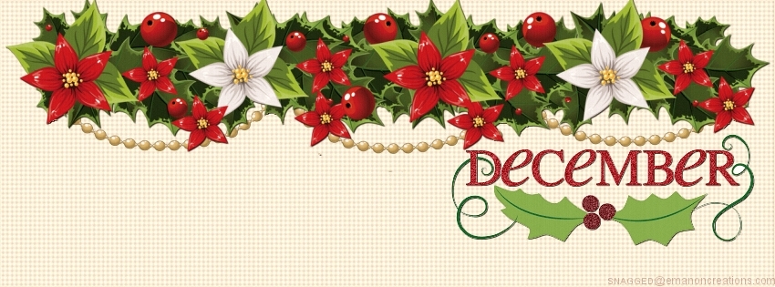 December 04 Facebook Timeline Cover