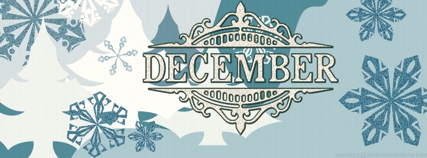December 07 Facebook Timeline Cover