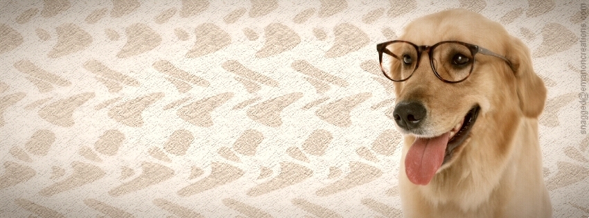 Dog 007 Facebook Timeline Cover