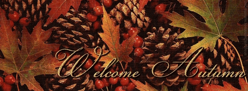 Autumn/Fall 003 Facebook Timeline Cover