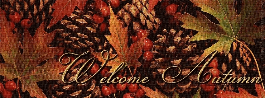 Autumn/Fall 003 Facebook Timeline Cover