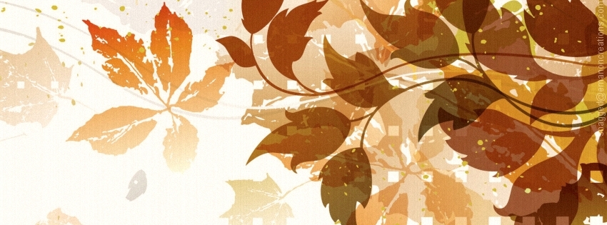 Autumn/Fall 011 Facebook Timeline Cover