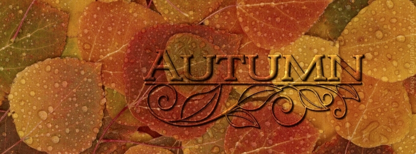 Autumn/Fall 013 Facebook Timeline Cover
