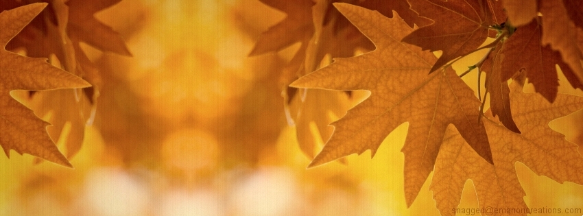 Autumn/Fall 014 Facebook Timeline Cover