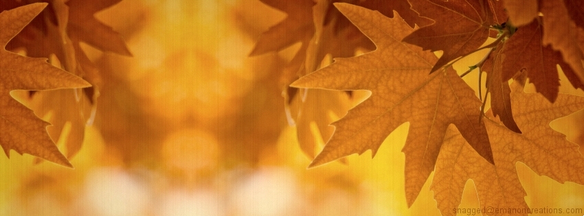 Autumn/Fall 014 Facebook Timeline Cover