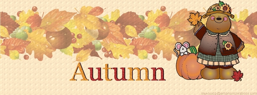 Autumn/Fall 016 Facebook Timeline Cover