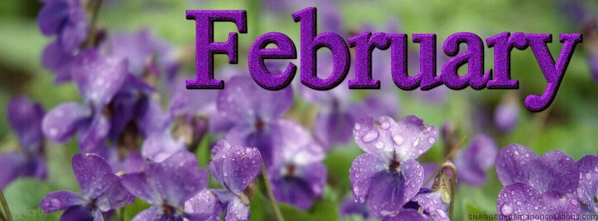 February 08 Facebook Timeline Cover