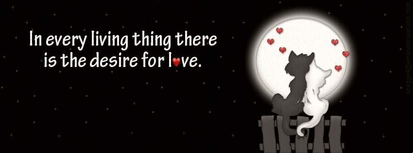 Love Quotes 013 Facebook Timeline Cover