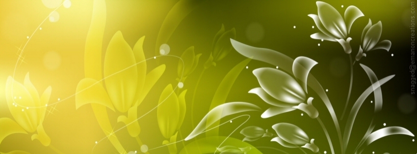 Mix 065 Facebook Timeline Cover