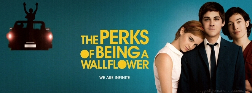 The Perks Of Being A Wallflower Facebook Timeline Cover