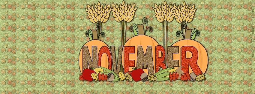 November 03 Facebook Timeline Cover