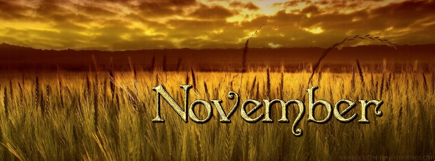 November 06 Facebook Timeline Cover