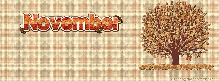 November 08 Facebook Timeline Cover