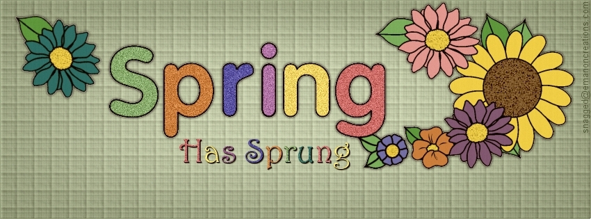 Spring 006 Facebook Timeline Cover