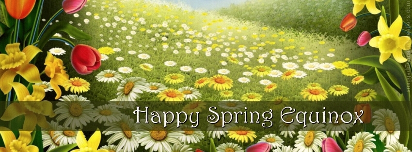 Spring 009 Facebook Timeline Cover