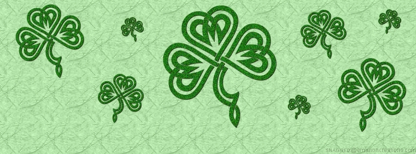 St. Patricks 012 Facebook Timeline Cover