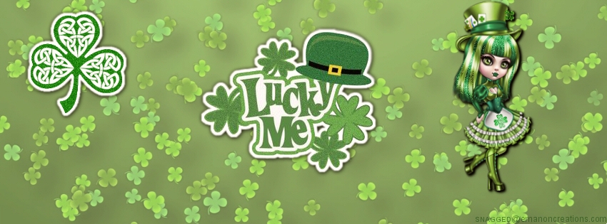 St. Patricks 022 Facebook Timeline Cover