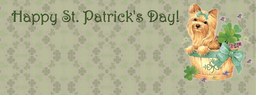 St. Patricks 024 Facebook Timeline Cover