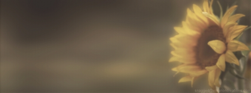 Summer 015 Facebook Timeline Cover