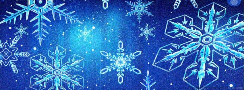 Winter 001 Facebook Timeline Cover