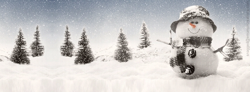 Winter 006 Facebook Timeline Cover