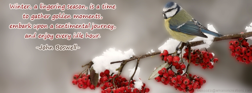 Winter 010 Facebook Timeline Cover