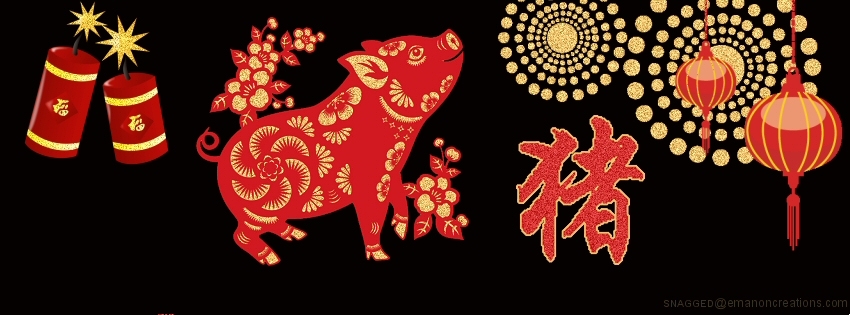Chinese New Years 024 Facebook Timeline Cover