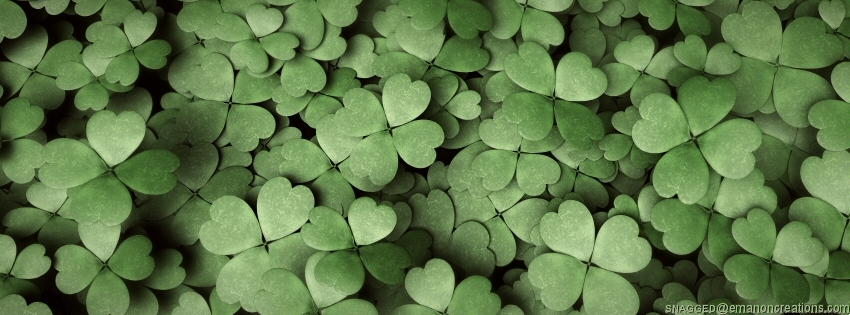 St. Patricks 027 Facebook Timeline Cover