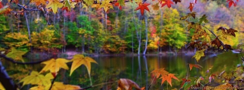 Autumn/Fall 028 Facebook Timeline Cover