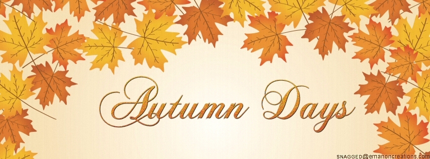 Autumn/Fall 029 Facebook Timeline Cover