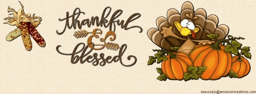 Thanksgiving 029 Facebook Timeline Cover