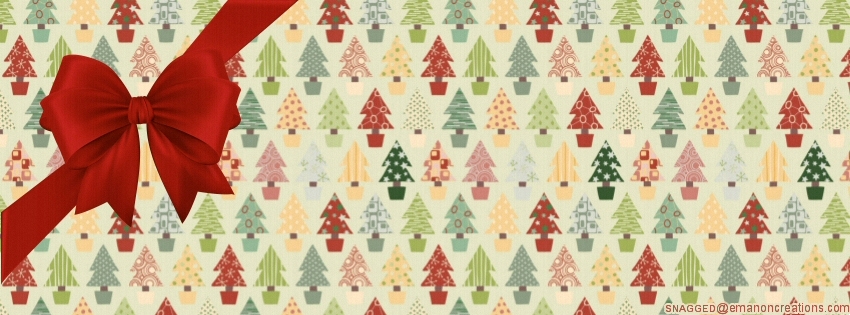 Christmas 044 Facebook Timeline Cover