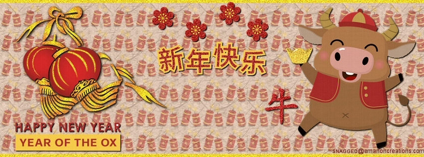 Chinese New Years 029 Facebook Timeline Cover