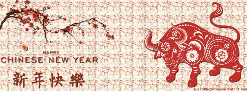 Chinese New Years 030 Facebook Timeline Cover