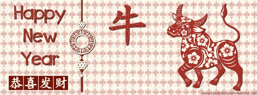 Chinese New Years 031 Facebook Timeline Cover