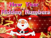 New Year Hidden Numbers