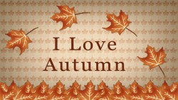 Autumn Love Wp 01