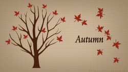 Autumn Tree 01 Wp