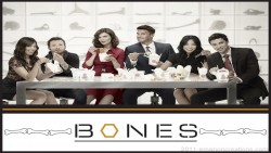 Bones Wp