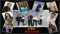 CSI Miami Wp